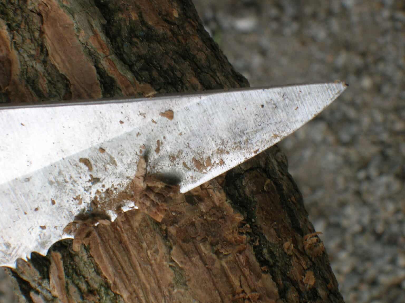 how-to-tell-if-your-knife-is-sharp-enough-knivesadvice