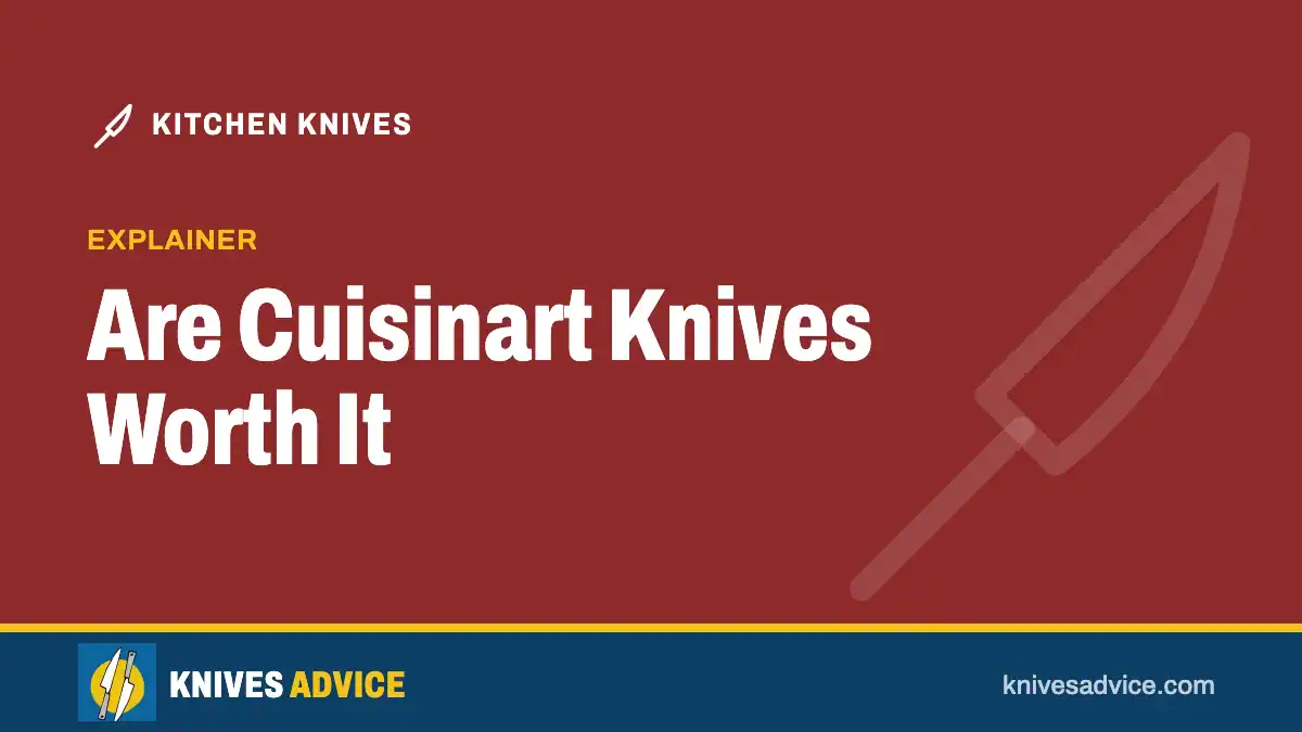 Are Cuisinart Knives Worth It: explainer, knivesadvice.com