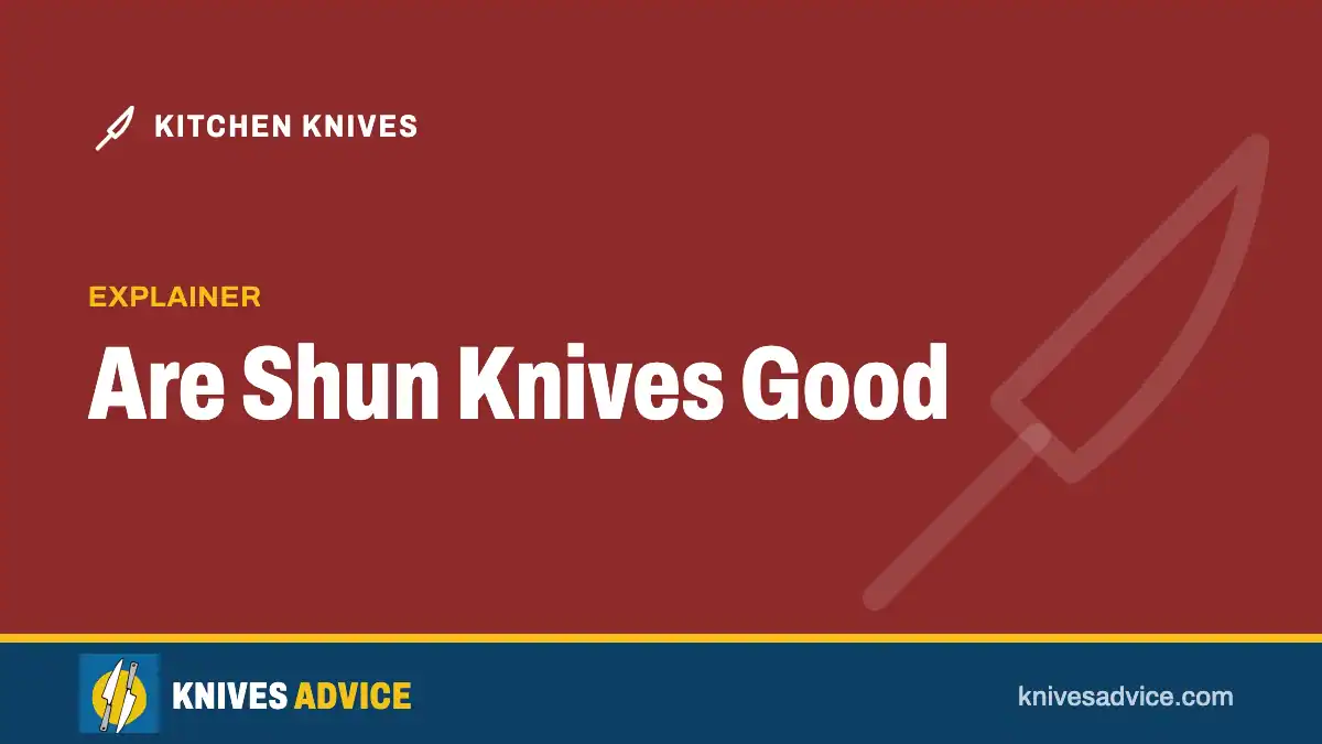 Are Shun Knives Good: explainer, knivesadvice.com