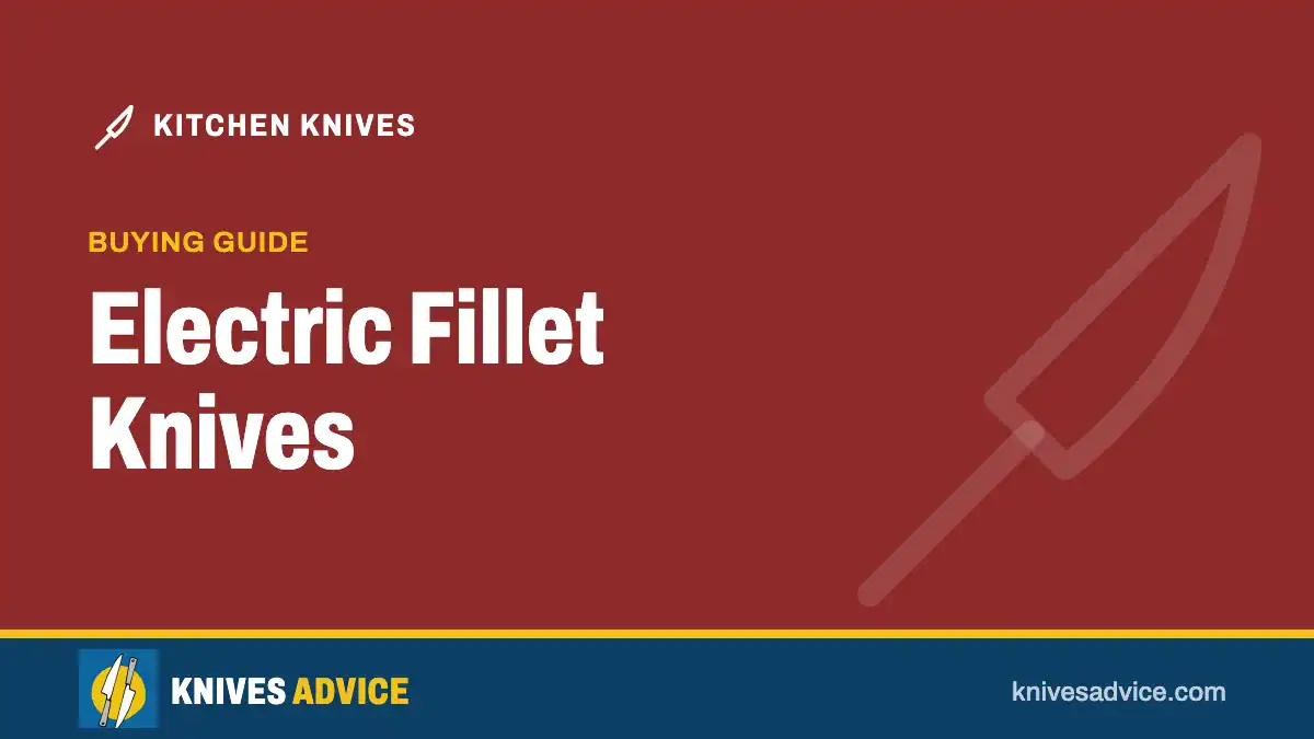 Electric Fillet Knives: buying guide, knivesadvice.com