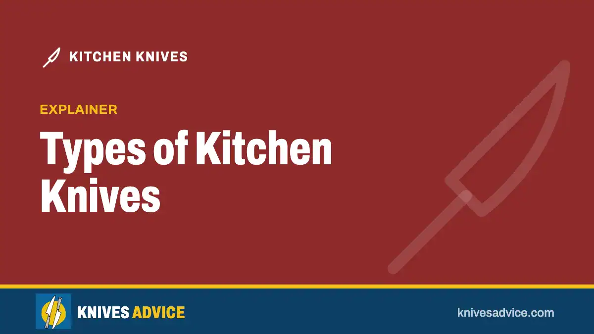 Types of Kitchen Knives: explainer, knivesadvice.com